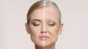 How to Slow Biological Ageing: What Science Actually Says in 2026